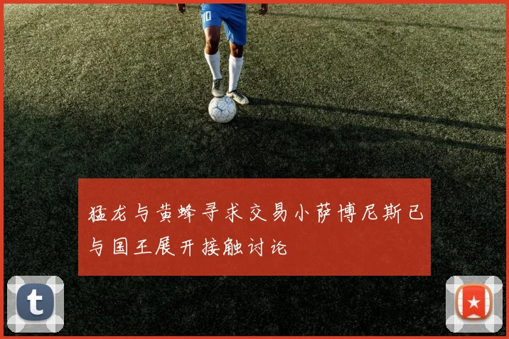 猛龙与黄蜂寻求交易小萨博尼斯已与国王展开接触讨论